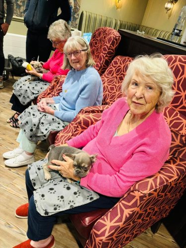 Carousel post from Cuttlebrook Hall Care Home.