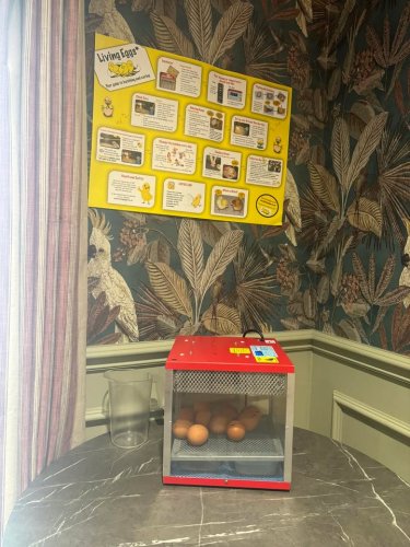 Photo post from Cuttlebrook Hall Care Home.