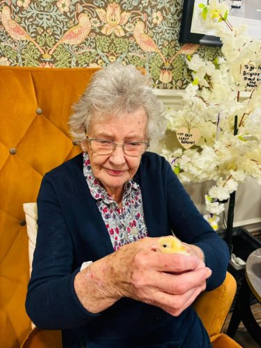 Carousel post from Cuttlebrook Hall Care Home.
