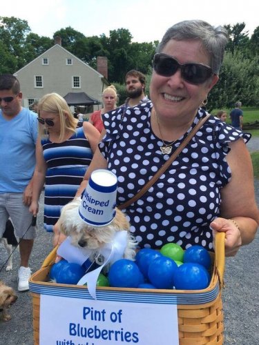 Carousel post from Visit Bethlehem.