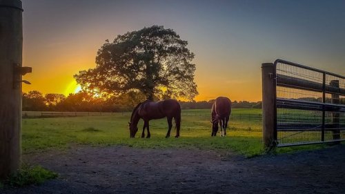 Photo post from Visit Bethlehem.