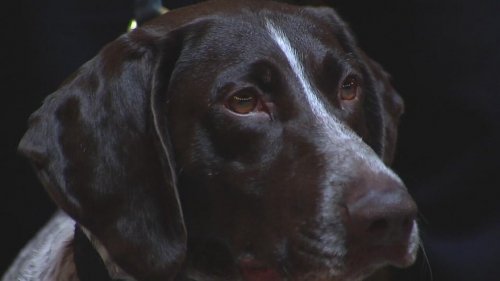 Photo post from Visit Bethlehem.