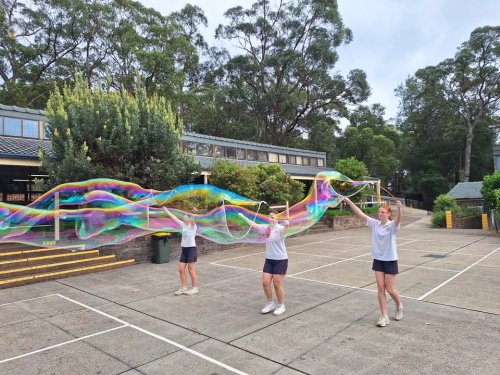 Carousel post from Wycliffe Christian School.