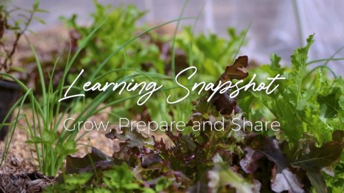 Video post from Wycliffe Christian School.