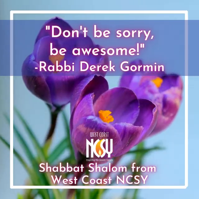 Video post from West Coast NCSY.