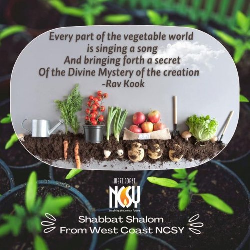 Photo post from West Coast NCSY.