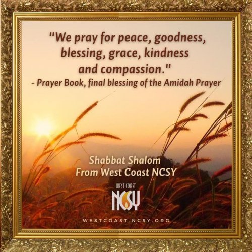 Photo post from West Coast NCSY.