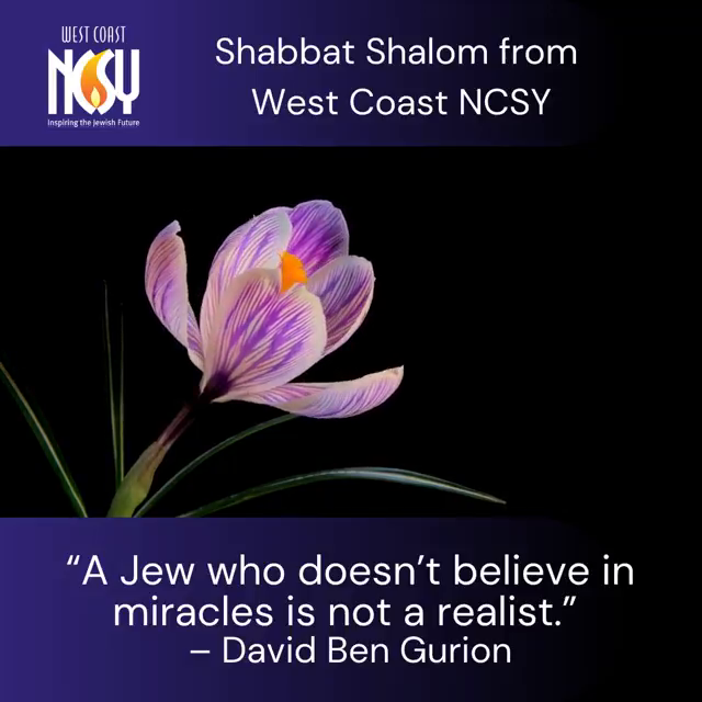 Video post from West Coast NCSY.