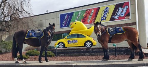 Photo post from Bethlehem Police Department, Bethlehem, PA.