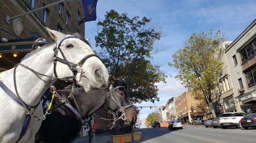 Photo post from Bethlehem Police Department, Bethlehem, PA.