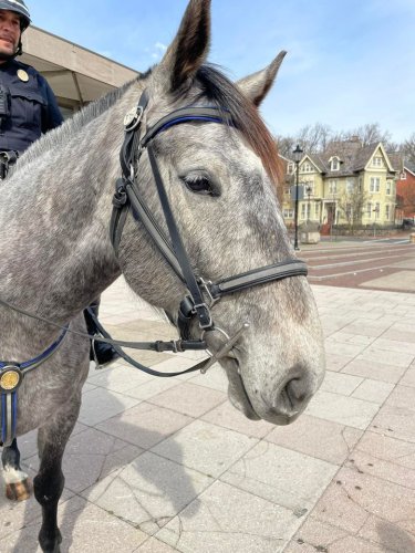 Carousel post from Bethlehem Police Department, Bethlehem, PA.