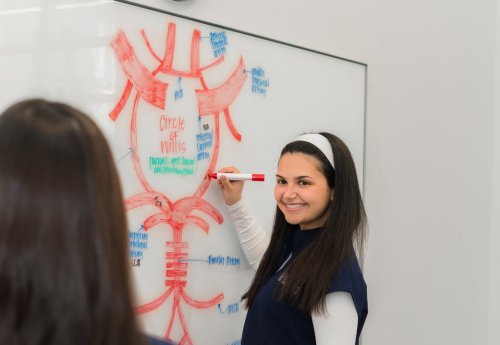 Carousel post from Franciscan Missionaries of Our Lady University.