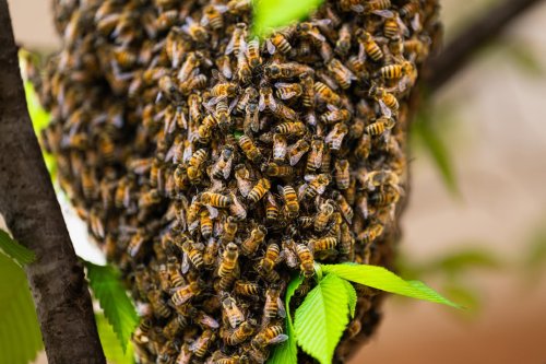 Carousel post from Franciscan Missionaries of Our Lady University.