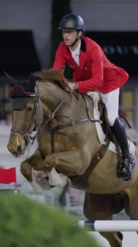 Video post from FEI Jumping.