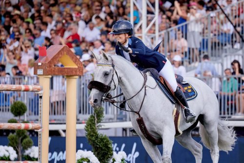 Photo post from FEI Jumping.