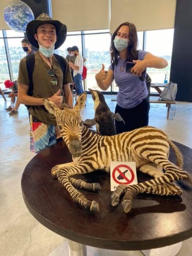 Carousel post from NCSY Israel In Depth.