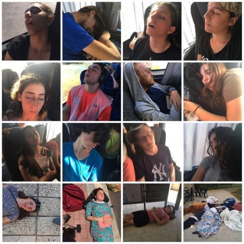 Photo post from NCSY Israel In Depth.
