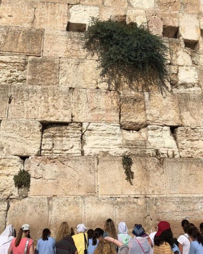 Carousel post from NCSY Israel In Depth.