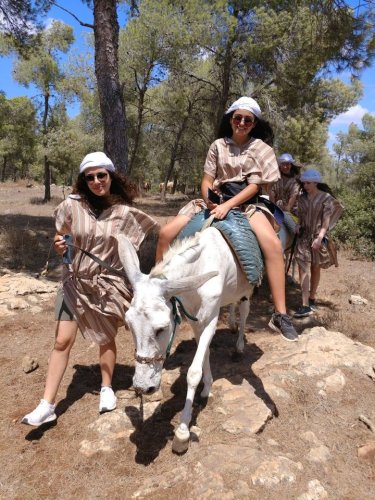 Carousel post from NCSY Israel In Depth.