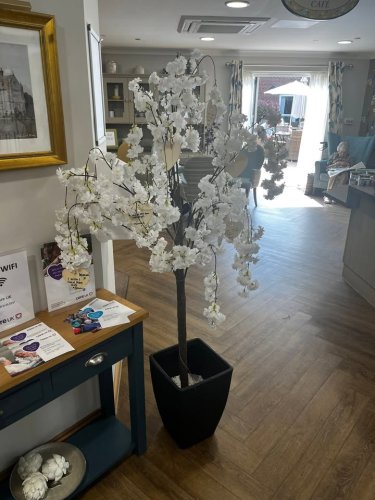 Carousel post from Martlet Manor Care Home.