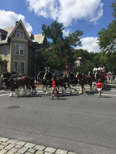 Photo post from City of Bethlehem.