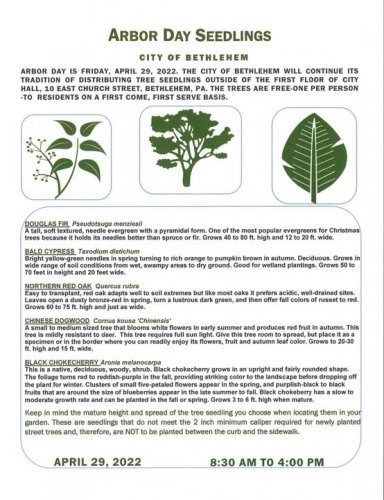 Photo post from City of Bethlehem.