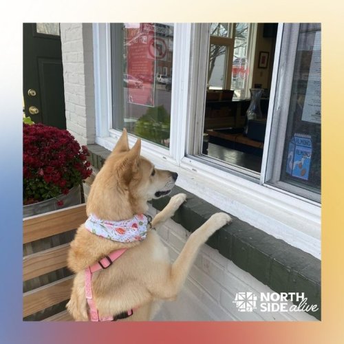 Photo post from City of Bethlehem.