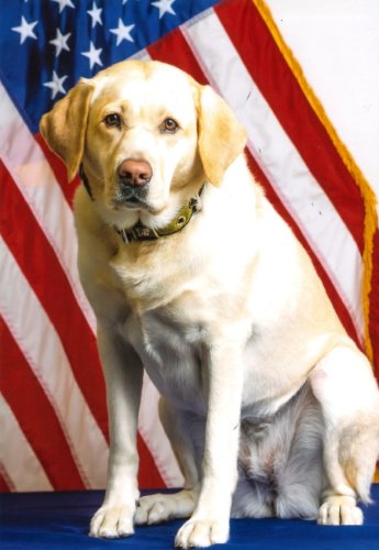 Photo post from City of Bethlehem.