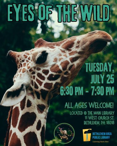 Photo post from City of Bethlehem.