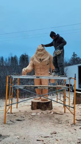 Video post from I Saw It in Mn, Llc.