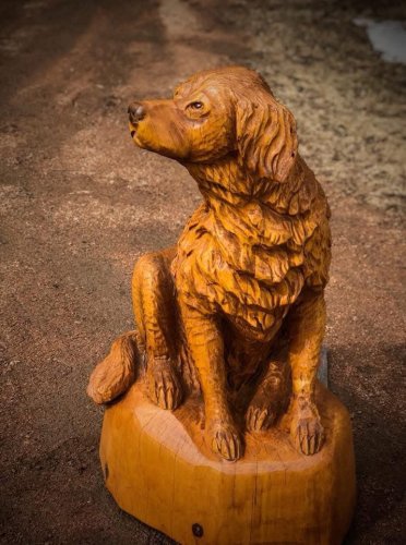 Carousel post from I Saw It in Mn, Llc.