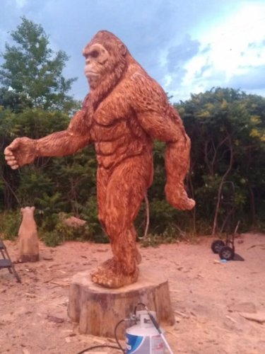 Video post from I Saw It in Mn, Llc.