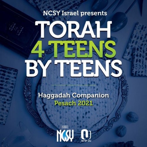 Photo post from NCSY Israel.