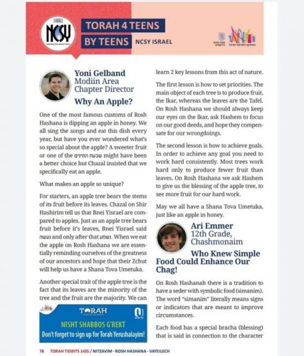 Carousel post from NCSY Israel.