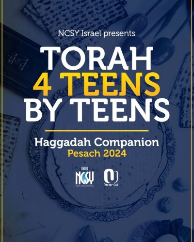 Photo post from NCSY Israel.