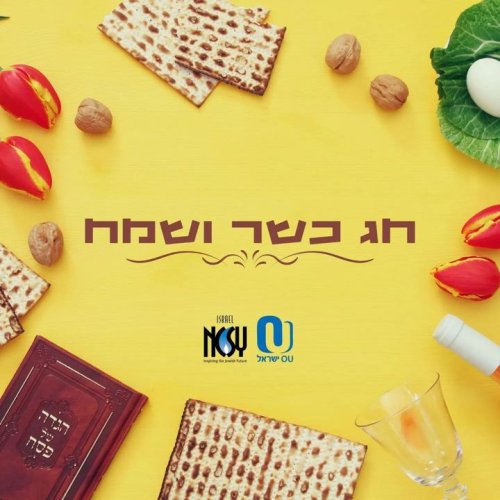 Photo post from NCSY Israel.
