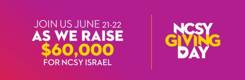 Photo post from NCSY Israel.