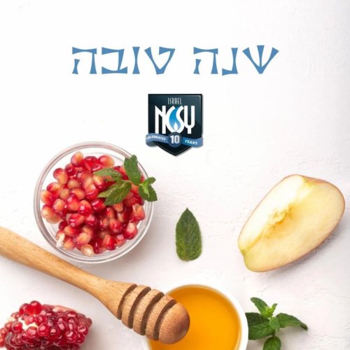 Photo post from NCSY Israel.