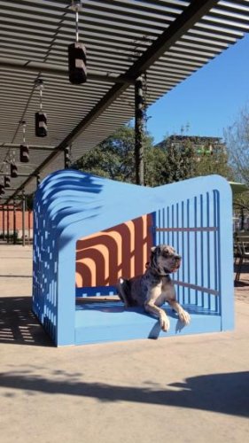 Video post from Pfluger Architects.