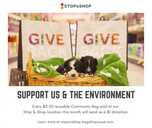 Photo post from Horizons - Camp Horizons.