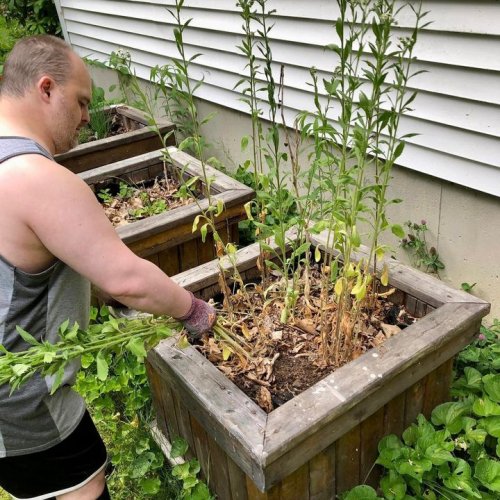 Carousel post from Horizons - Camp Horizons.