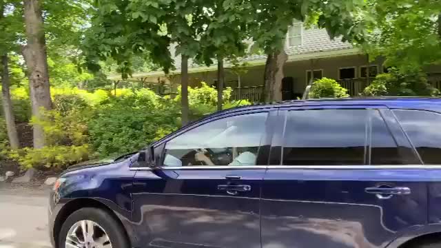 Video post from Horizons - Camp Horizons.