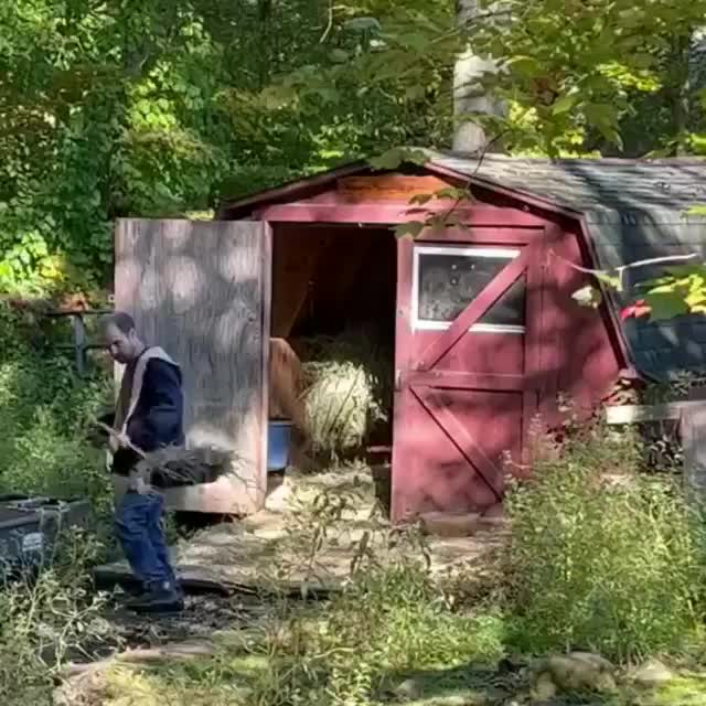 Video post from Horizons - Camp Horizons.