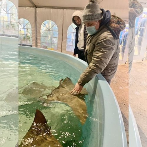 Carousel post from Horizons - Camp Horizons.