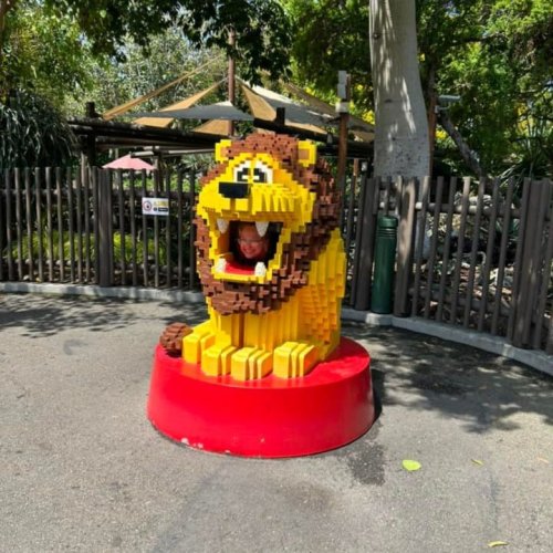 Carousel post from Horizons - Camp Horizons.