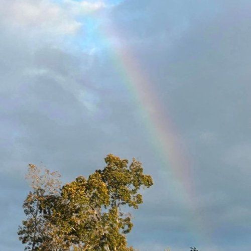 Carousel post from Horizons - Camp Horizons.