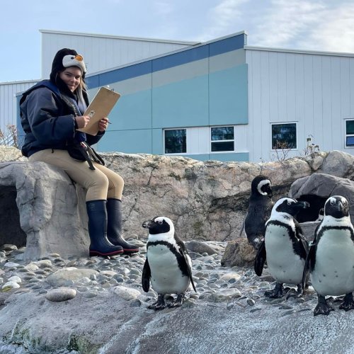 Photo post from Horizons - Camp Horizons.