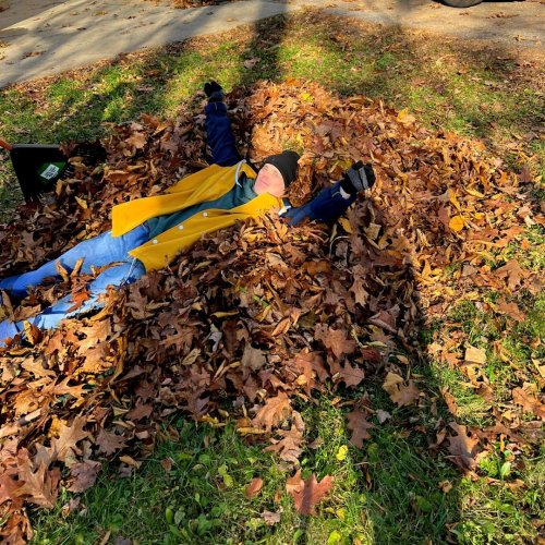 Photo post from Horizons - Camp Horizons.