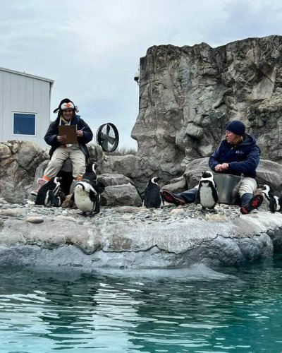 Photo post from Horizons - Camp Horizons.