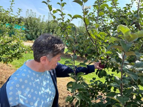 Carousel post from Horizons - Camp Horizons.